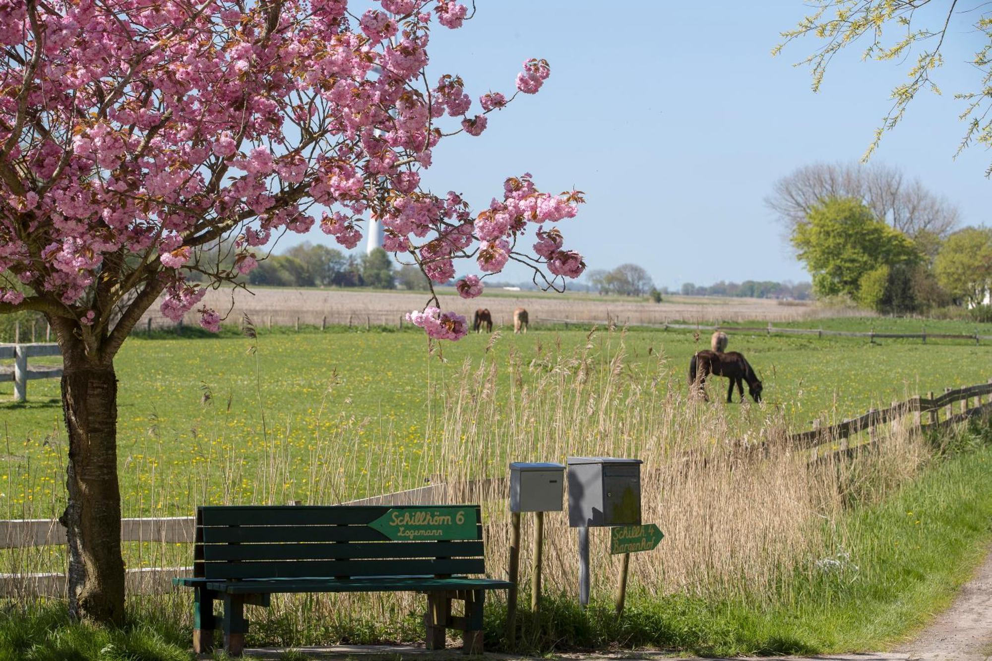 Fischerhaeuschen Am Kurpark Neuharlingersiel Esterno foto